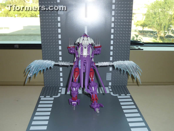 Botcon 2014 Knight 3 Pack Attendee Set  (27 of 82)